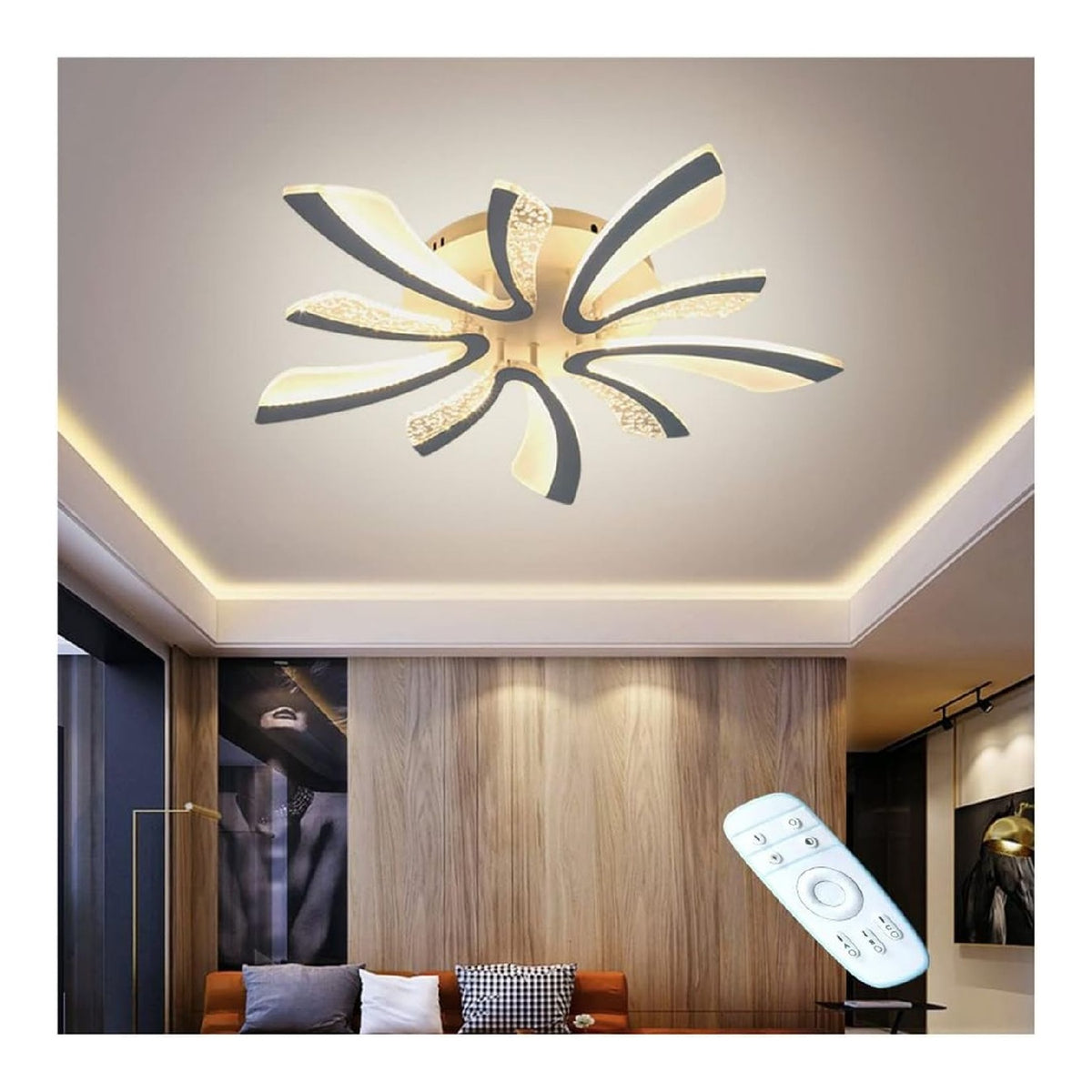 Lampada a soffitto Plafoniera LED-Moderno Luci acriliche Lampada nero